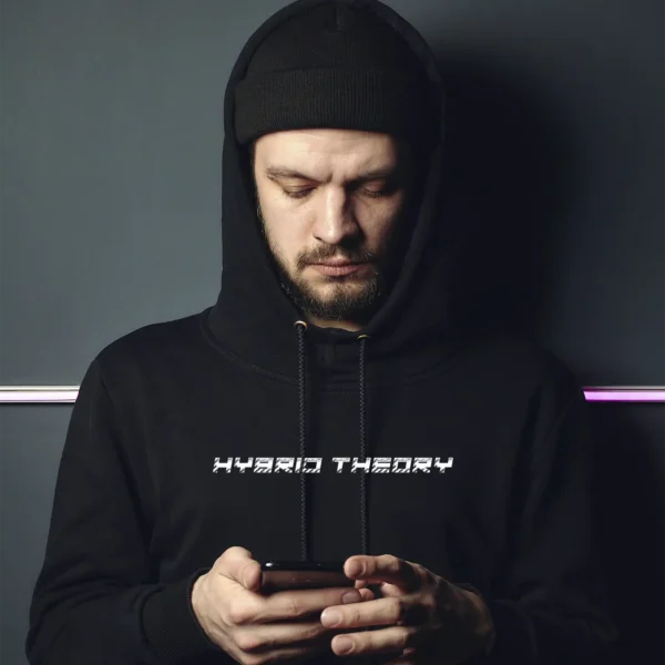 HYBRID THEORY
