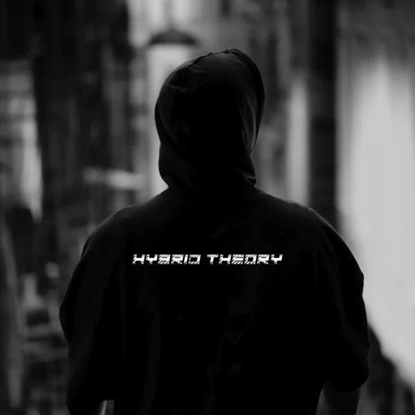 HYBRID THEORY